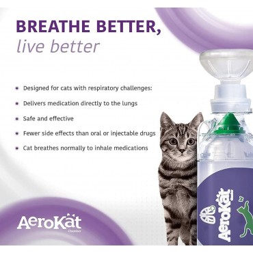 Інгалятор AeroKat